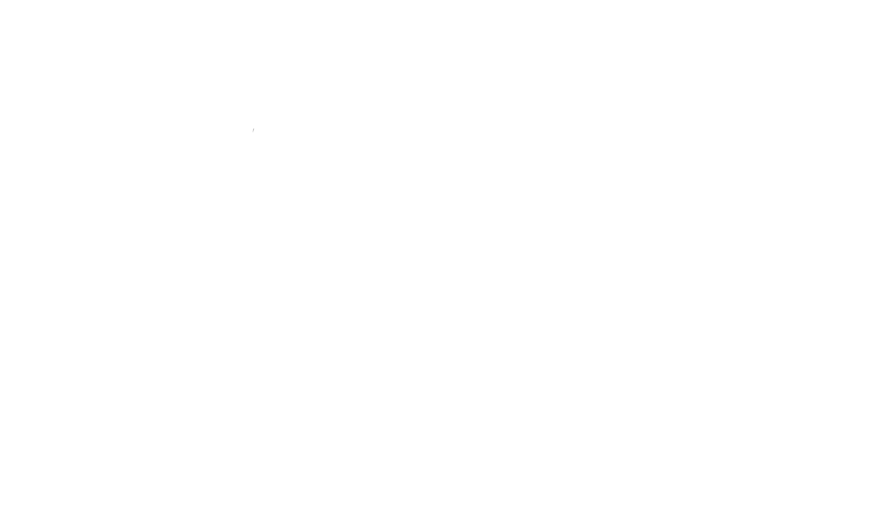 Imanity Software Logo